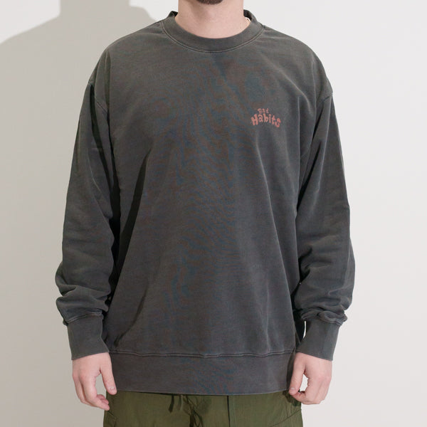 「とーる」Bad Habitsイラスト ピグメントトレーナー(251-2256)